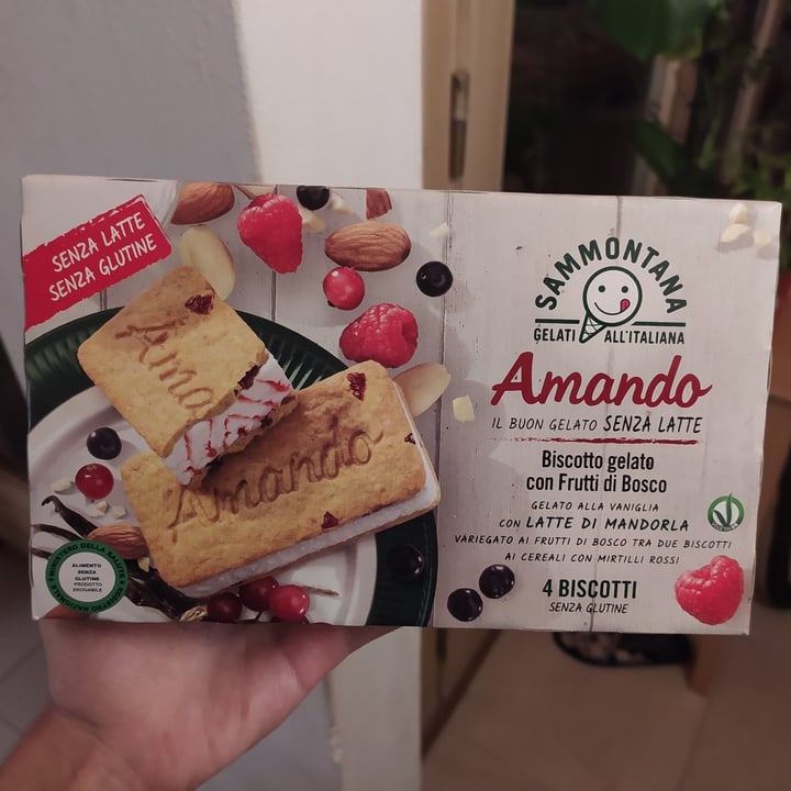 photo of Sammontana Biscotto Amando con Frutti di Bosco shared by @potplant on  01 Oct 2021 - review