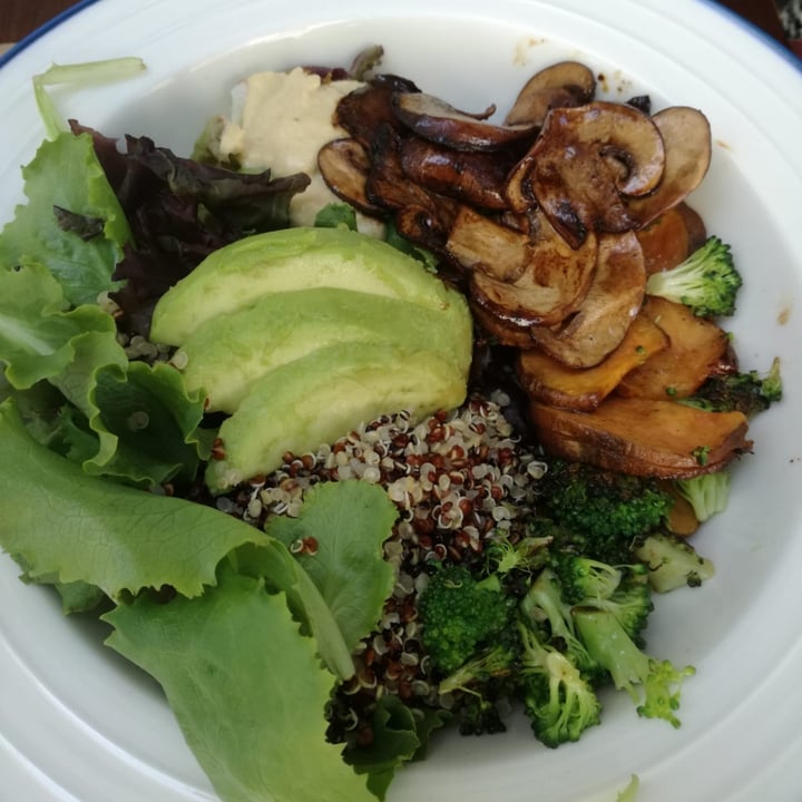 photo of Thank You Mother Quinoa bowl shared by @despistaa on  13 Sep 2020 - review