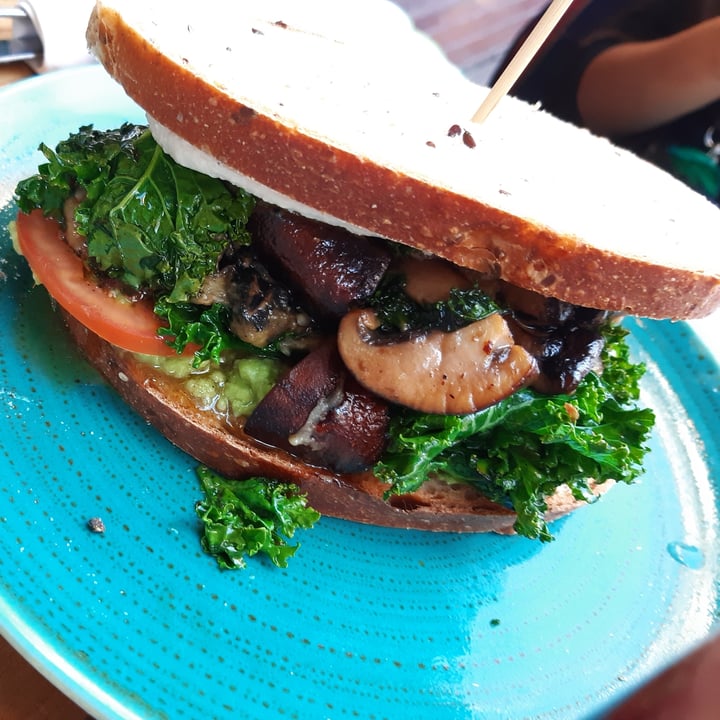 photo of Hierbabuena Hamburguesa de hongos con palta y zanahorias baby shared by @nanubostera on  13 Jul 2021 - review