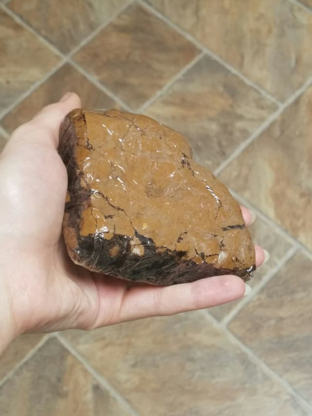 菜肴“Brownie”的照片