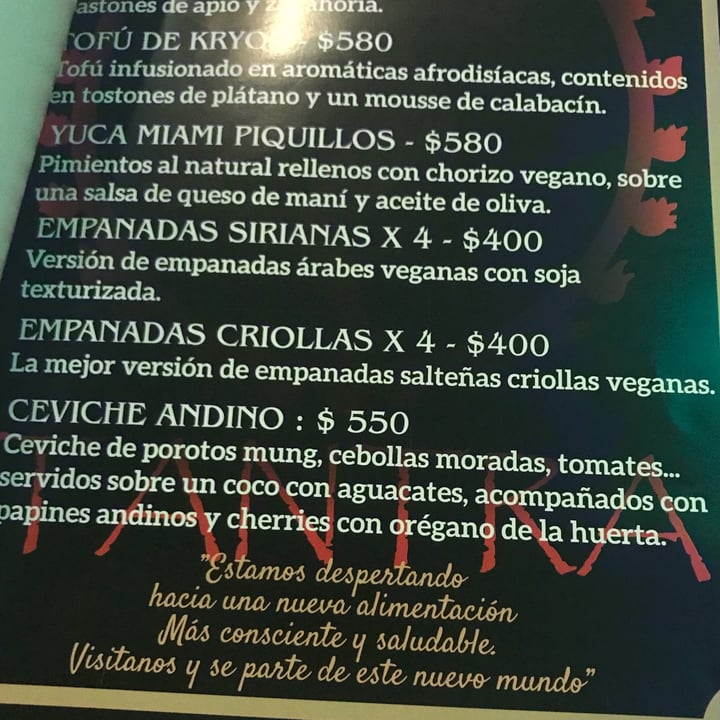 photo of Tantra Salta Restaurante Vegetariano Empanadas criollas shared by @sechague on  20 Nov 2021 - review