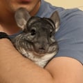 @iheartanimals profile image