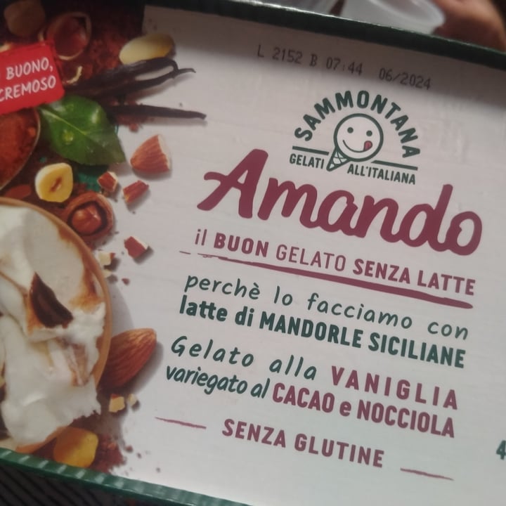 photo of Sammontana Gelato alla Vaniglia variegato al Cacao e Nocciola shared by @gloriagrossi on  07 Sep 2022 - review