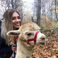 julietsperi @julietsperi profile image