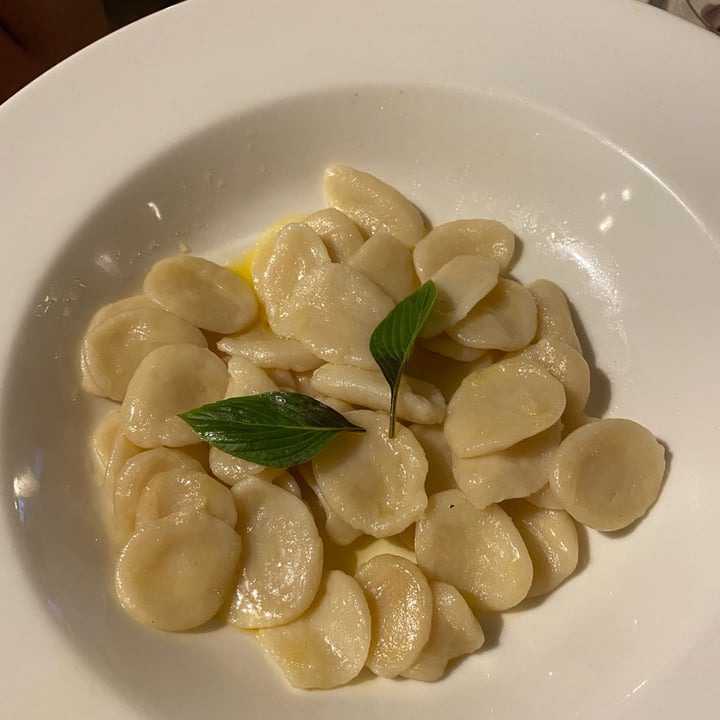 photo of La Piazzetta “orecchiette” in bianco shared by @aurory on  31 Jul 2022 - review