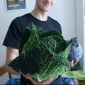 basedplants @basedplants profile image