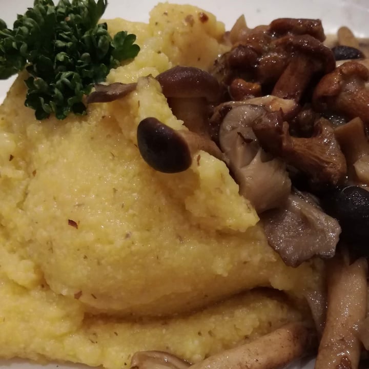 review photo of Ristorante Antico Focolare Polenta e funghi shared by @ericarav on 04 Apr 2022 - review