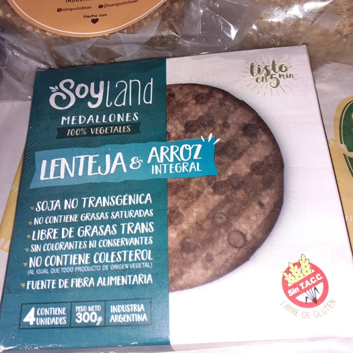 photo of SoyLand Hamburguesa de lenteja y arroz integral shared by @nehuenrodgz on  28 Sep 2021 - review