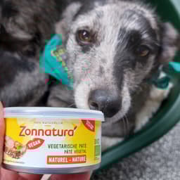 Zonnatura