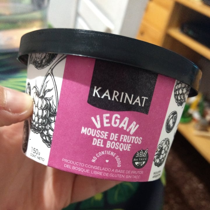 photo of Karinat Mousse Frutos del Bosque shared by @ericaterreros on  01 Dec 2021 - review