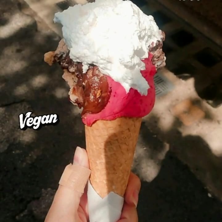 photo of Gelato Giulivo Vegan Gelato shared by @giulia97 on  09 May 2021 - review