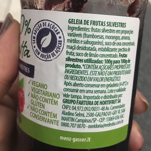 Geleia de Pêssego Menz & Gasser 340g : : Alimentos e Bebidas