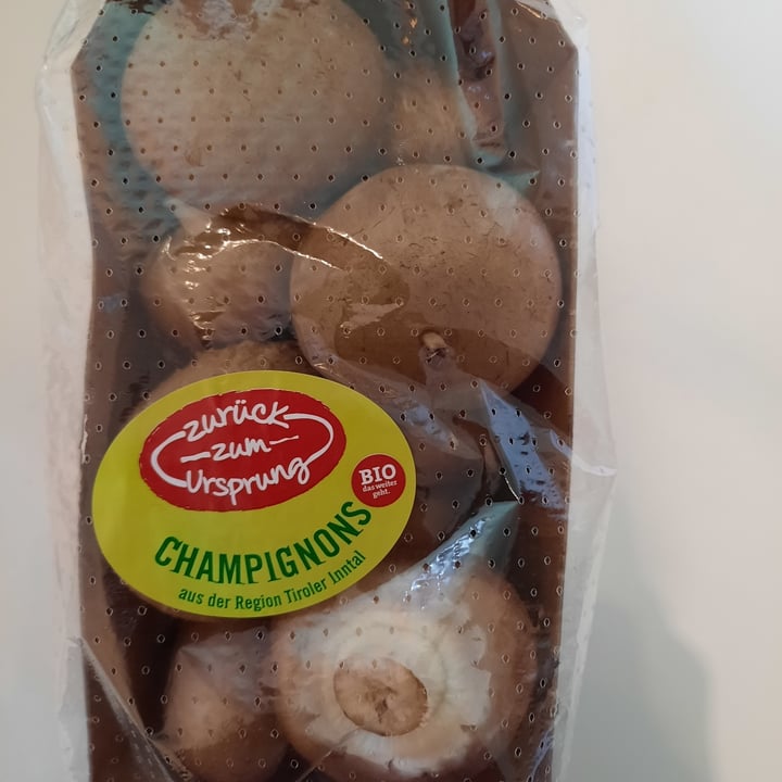 photo of Zurück zum Ursprung Bio Champignons shared by @apknottner on  12 Jul 2022 - review