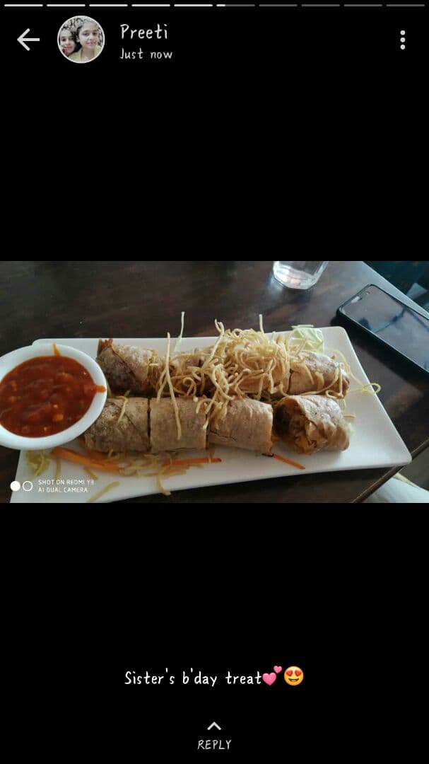 Photo of the dish “Spring Rolls”
