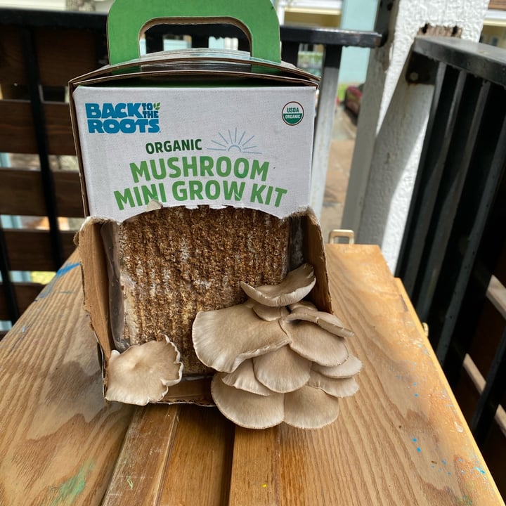review photo of Back to the roots Organic Mushroom Grow Kit shared by @summerd on 03 Aug 2022 - review