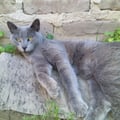 moli23 @moli23 profile image