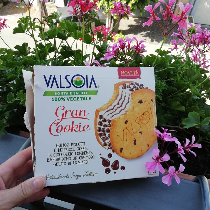 photo of Valsoia Gran cookie shared by @rominella on  18 Jun 2022 - review