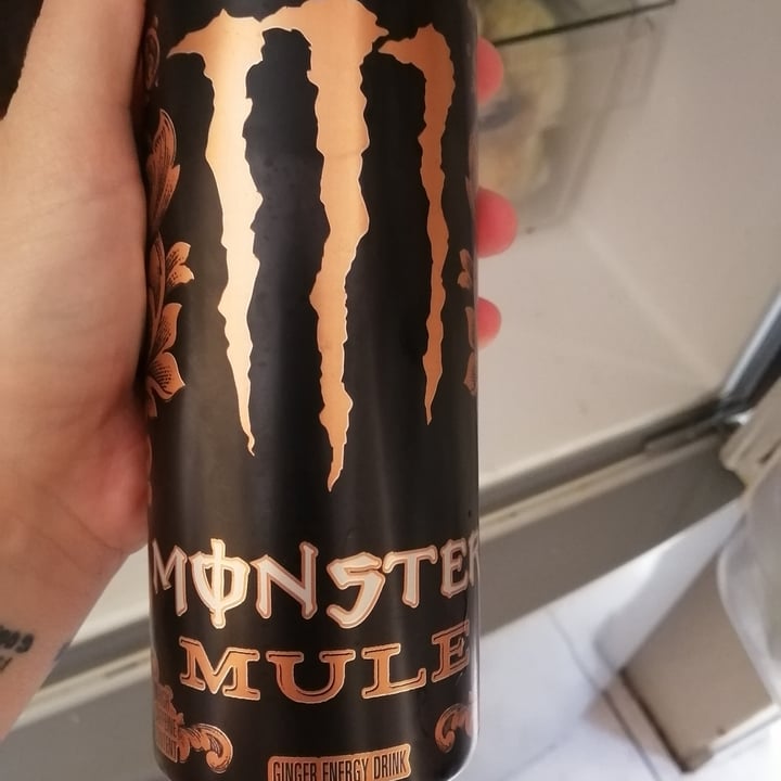 photo of Monster Energy Ginger Brew shared by @teecee1401 on  11 Apr 2021 - review