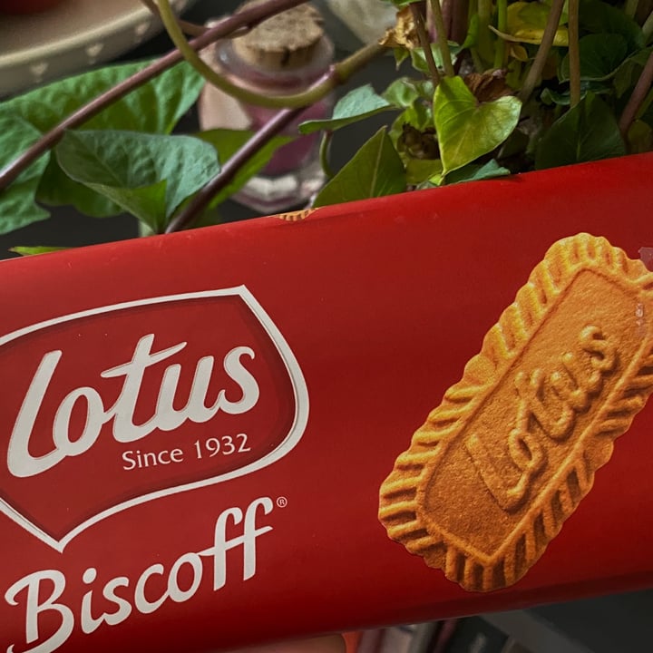 photo of Lotus Biscoff Lotus Biscoff Original Cookies shared by @vle1210 on  07 Jul 2022 - review
