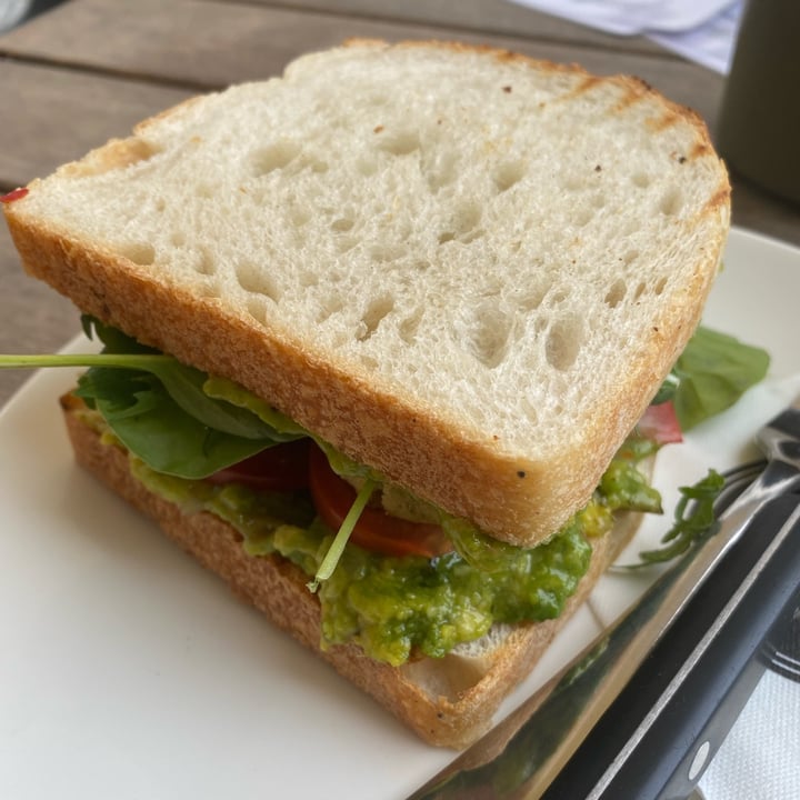 photo of Cafe Loumee Guacamole Sandwich With Falafel shared by @eventuelli on  07 Jun 2022 - review