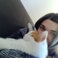 lerbaccia @lerbaccia profile image