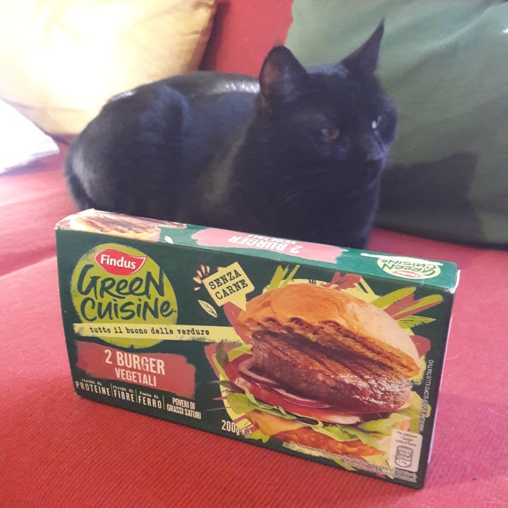 photo of Findus Burger Vegetali shared by @giuliacarosio on  24 Feb 2022 - review