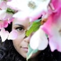 sivii86 @sivii86 profile image