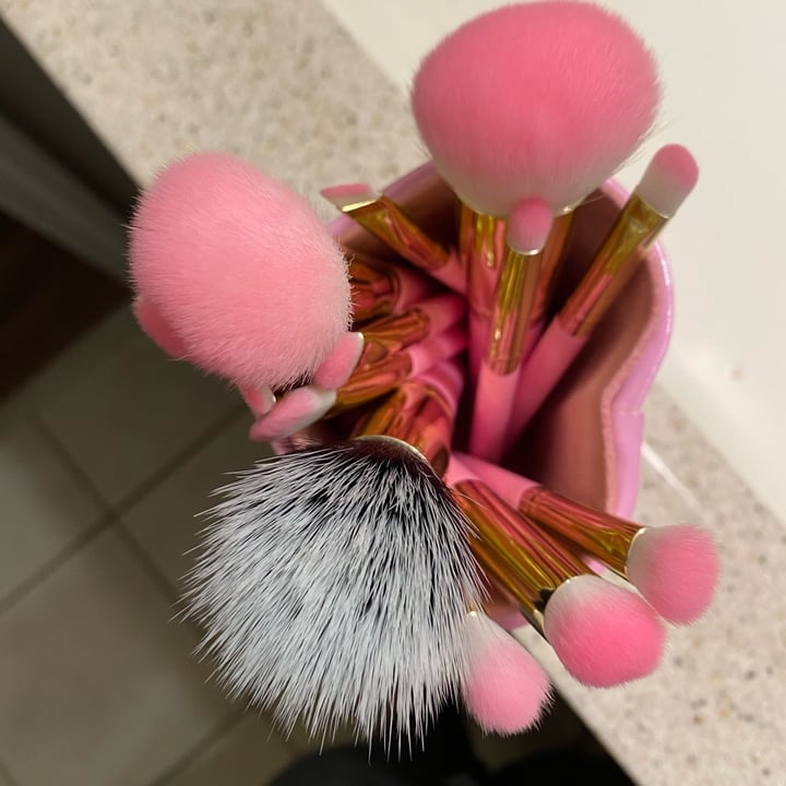 photo of Trixie Cosmetics 13 Piece Pink Brush Set shared by @aes731 on  25 May 2022 - review