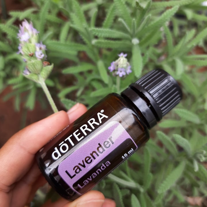 review photo of dōTERRA Lavender Essential Oil shared by @jeh on 09 May 2022 - review