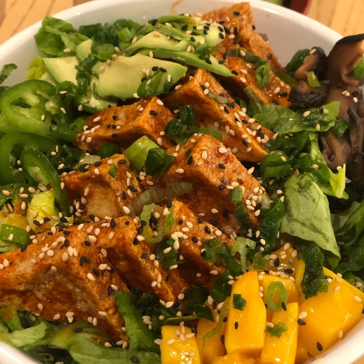 review photo of BENTO Gainesville Archer Create Your Own Bowl shared by @michaelaplantzzer on 27 Apr 2020 - review