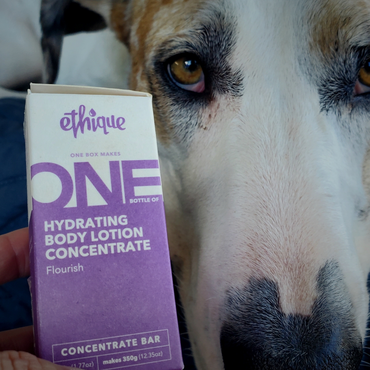 Ethique Hydrating Body Lotion Concentrate Flourish Reviews abillion