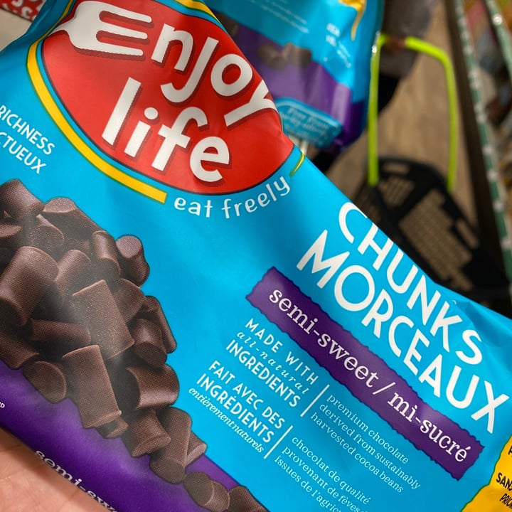photo of Enjoy Life Semi-Sweet Mega Chunks Chocolate shared by @nateye on  26 Dec 2020 - review