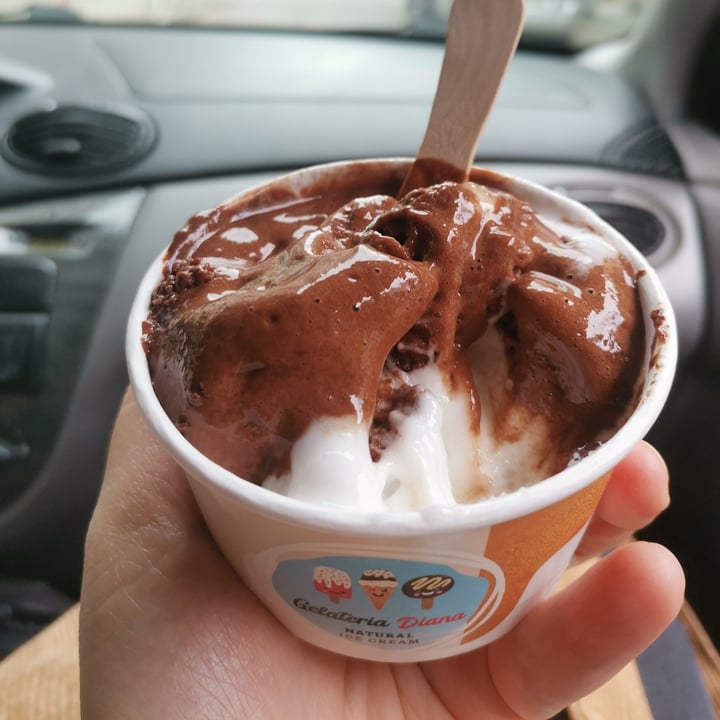 photo of Gelateria Diana (Borovo) Vegan ice cream Chocolate and Coconut shared by @valibabali on  26 May 2022 - review