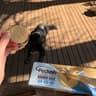 Peckish