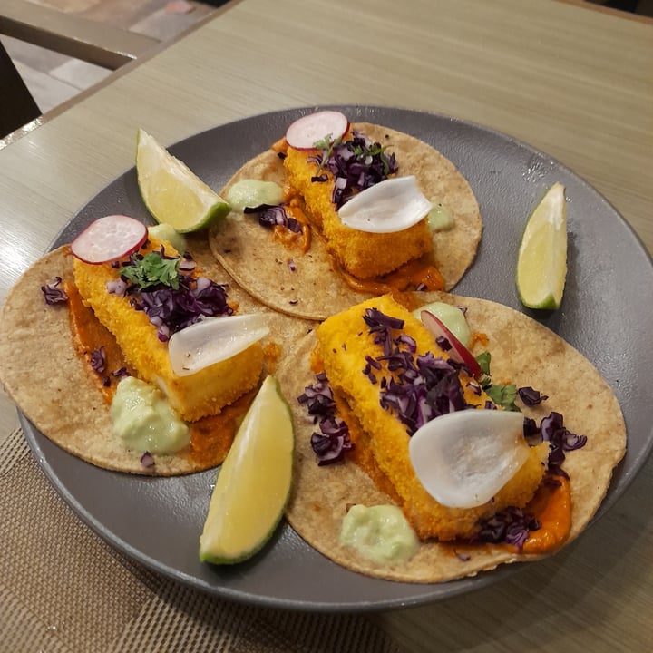 photo of Vegan Inc. Miyana Polanco Tacos rebozados shared by @omar0505 on  24 Dec 2022 - review