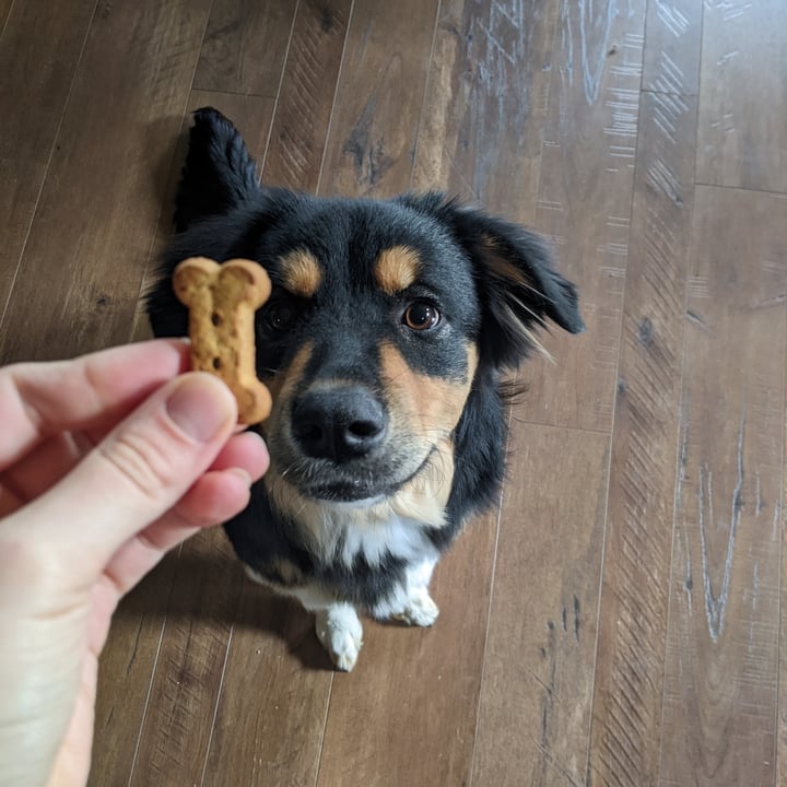 photo of Trader Joe's Grain Free Dog Treats with Peanut Butter & Banana shared by @wayfaringlass on  20 Oct 2022 - review
