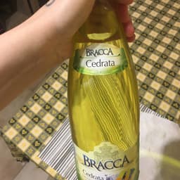 Bracca