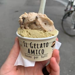 Il gelato amico