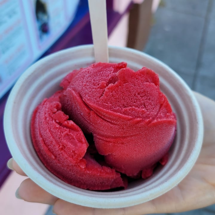photo of Screamin' Mimi's Ice Cream Vegan Raspberry Sorbet shared by @wolfj72 on  10 Jul 2021 - review