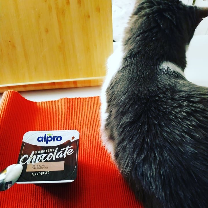 photo of Alpro Devilshly Dark Chocolate Plant-Based Dessert  shared by @loremily on  23 Aug 2022 - review