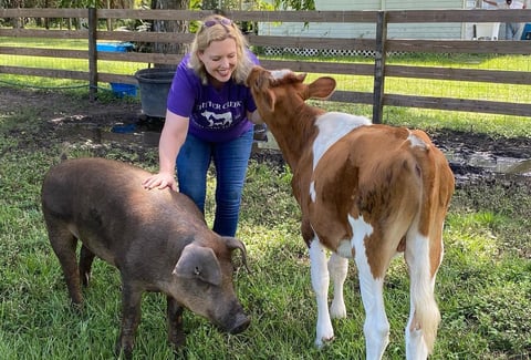 In conversation with Erin Amerman, co-founder, Critter Creek Farm Sanctuary.