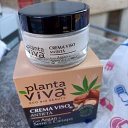 Planta viva