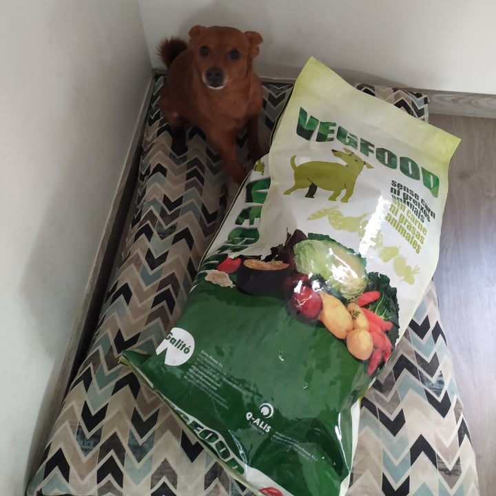 photo of Vegfood Pienso Vegano para Perros shared by @elkeandrea9 on  17 Apr 2021 - review