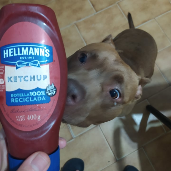 photo of Hellmann’s Aderezo vegano shared by @ssofiagustina on  13 Nov 2021 - review