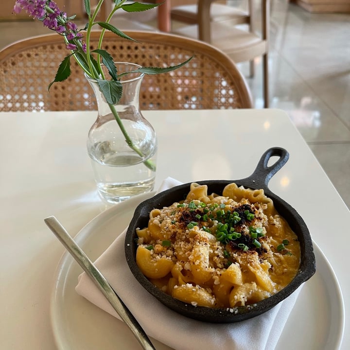 photo of Thatch Miami Mac & Cheese shared by @sangria on  03 Apr 2021 - review
