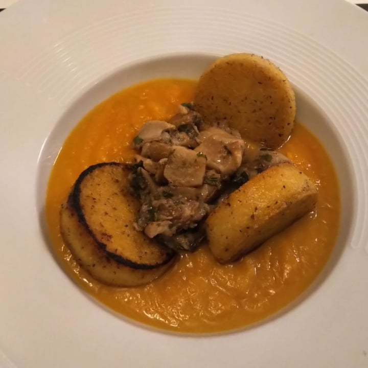 photo of MiBiò bistrot Zucca stufata con polenta, porcini e tartufo bianco shared by @friedmandriver on  03 Mar 2022 - review