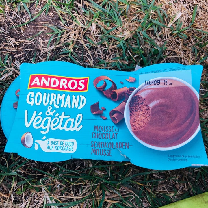 photo of Andros Mousse au Chocolat shared by @cinzia81 on  06 Sep 2021 - review
