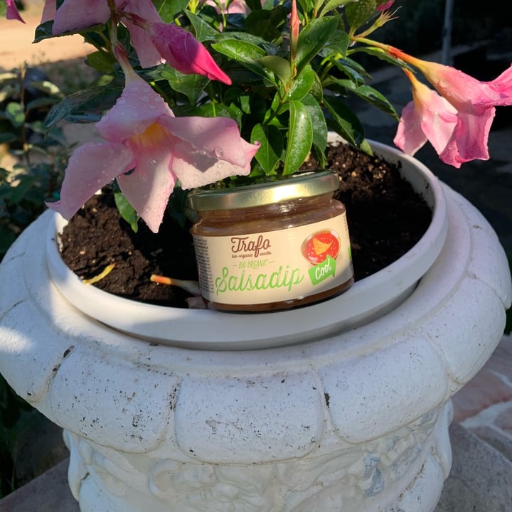 review photo of salsa Salsa shared by @marycarbo on 17 Jun 2022 - review