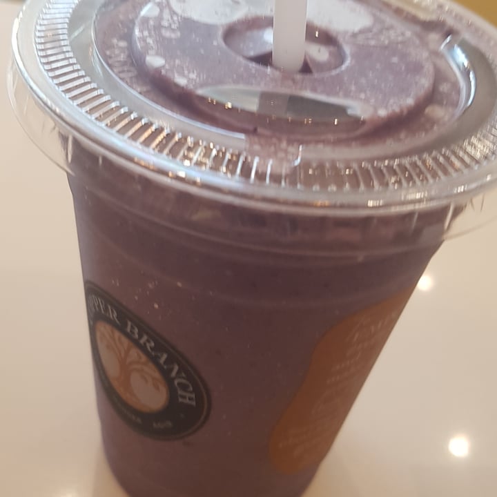 review photo of Copper Branch Tempeh Sandwich, Edison Electric Smoothie, Baked Fries and Teriyaki Mushroom Burger shared by @plantivorous on 17 Oct 2022 - review