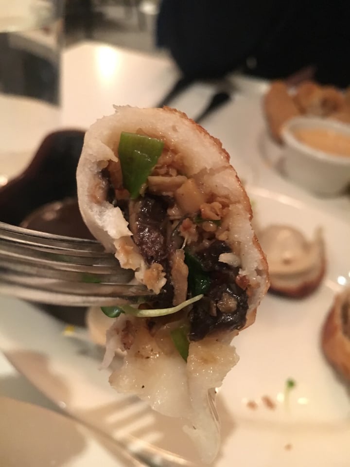 photo of Peacefood Dumplings shared by @veggie5 on  09 Feb 2019 - review